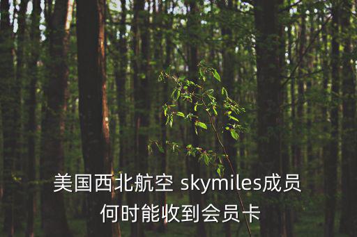美國西北航空 skymiles成員 何時能收到會員卡