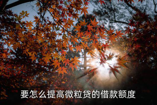 要怎么提高微粒貸的借款額度