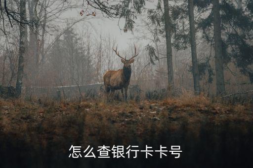 怎么查銀行卡卡號(hào)