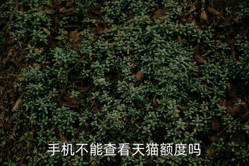 手機不能查看天貓額度嗎