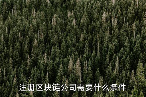 注冊(cè)區(qū)塊鏈公司需要什么條件
