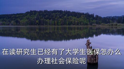 在讀研究生已經(jīng)有了大學生醫(yī)保怎辦么辦理社會保險呢