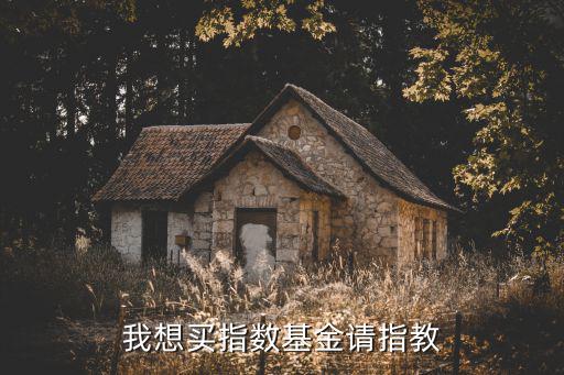 指數(shù)型基金怎么購買，我想買指數(shù)基金請指教