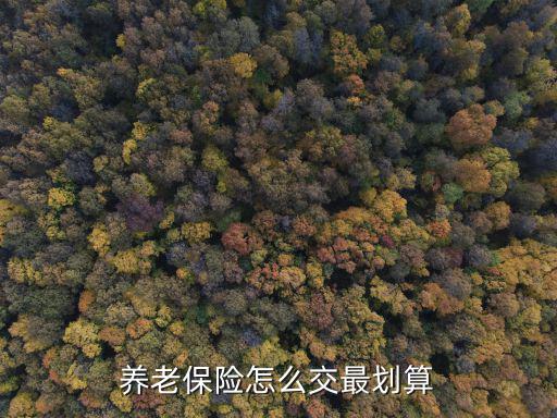 養(yǎng)老保險怎么交最劃算