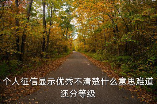 個人征信顯示優(yōu)秀不清楚什么意思難道還分等級