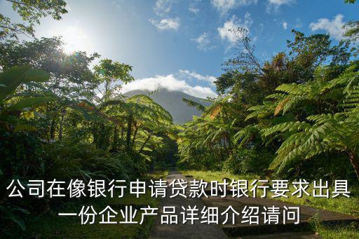 公司在像銀行申請貸款時銀行要求出具一份企業(yè)產(chǎn)品詳細介紹請問