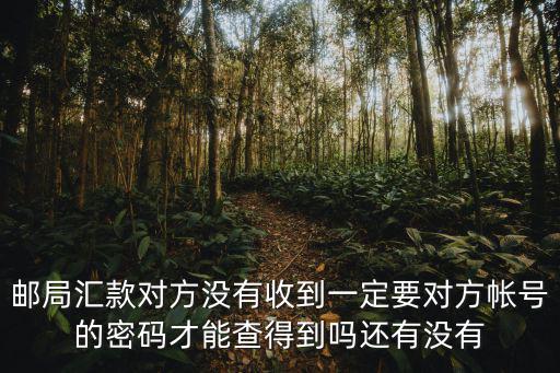 郵局匯款對方?jīng)]有收到一定要對方帳號的密碼才能查得到嗎還有沒有