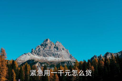 我想貸1000元怎么貸，怎樣才能貸款1000元