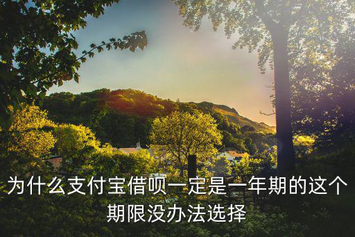 借唄怎么不是一年后還，為什么支付寶借唄一定是一年期的這個期限沒辦法選擇