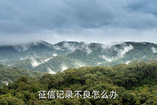 征信記錄不良怎么辦