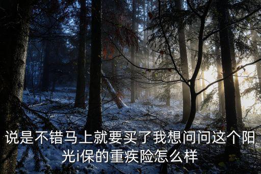 陽(yáng)光保險(xiǎn)i保險(xiǎn)怎么樣，保險(xiǎn)的話陽(yáng)光保險(xiǎn)怎么樣