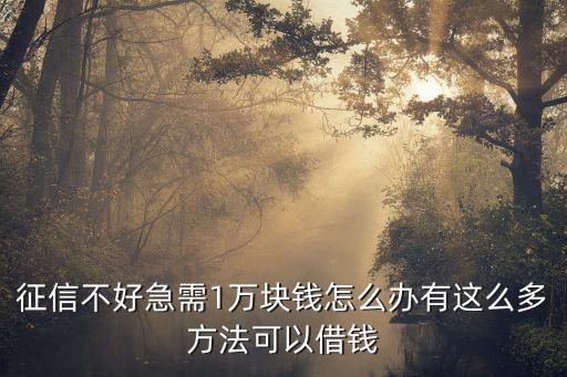 征信不好急需1萬(wàn)塊錢怎么辦有這么多方法可以借錢