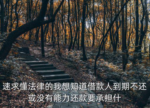 速求懂法律的我想知道借款人到期不還或沒有能力還款要承擔(dān)什