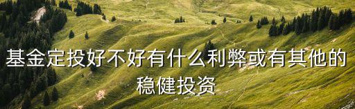 定投中小盤基金怎么樣，中小盤基金 好嗎