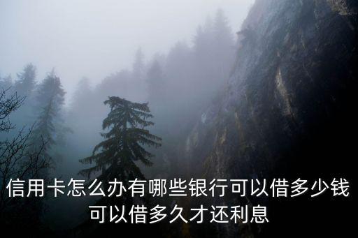 申請了10張信用卡額度的信用卡怎么辦，同時辦了兩張信用卡怎么辦