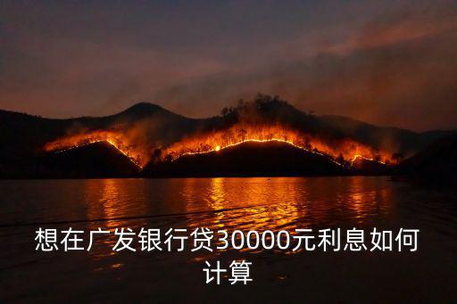 想在廣發(fā)銀行貸30000元利息如何計算