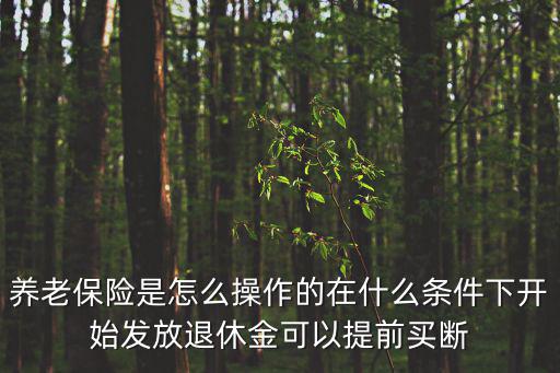 養(yǎng)老保險(xiǎn)怎么用的，養(yǎng)老金怎么用
