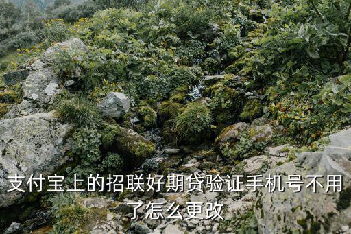 支付寶上的招聯(lián)好期貸驗(yàn)證手機(jī)號(hào)不用了怎么更改