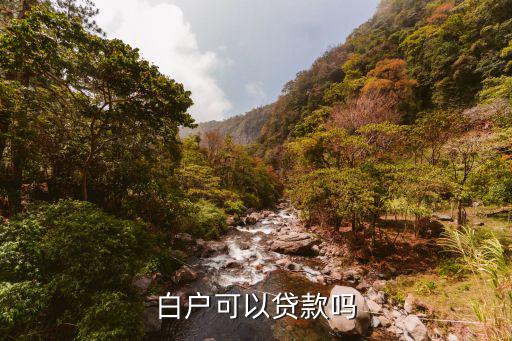 白戶貸款怎么貸，純白戶怎么申請(qǐng)貸款