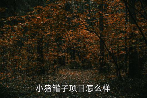 小豬罐子項(xiàng)目怎么樣