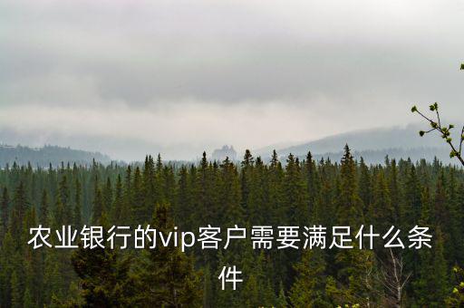農(nóng)業(yè)銀行的vip客戶需要滿足什么條件