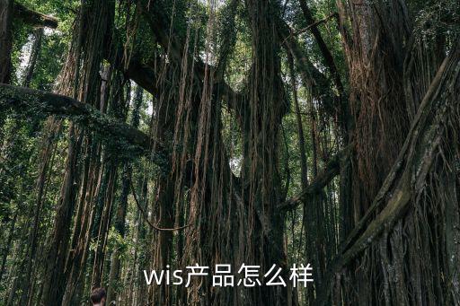wis產(chǎn)品怎么樣