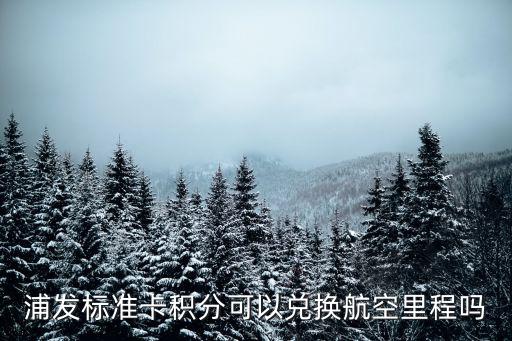 浦發(fā)標(biāo)準(zhǔn)卡積分可以?xún)稉Q航空里程嗎