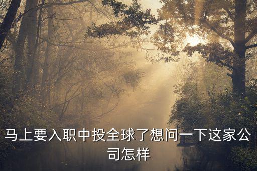 馬上要入職中投全球了想問一下這家公司怎樣