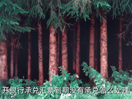 開(kāi)銀行承兌匯票到期沒(méi)有承兌怎么處理