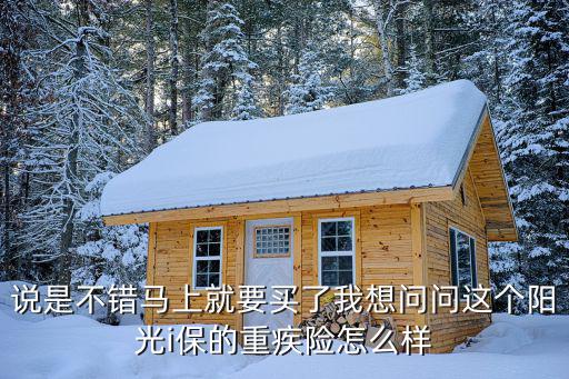 說是不錯(cuò)馬上就要買了我想問問這個(gè)陽光i保的重疾險(xiǎn)怎么樣