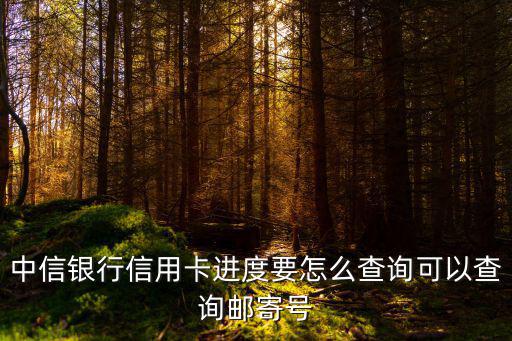 中信信用卡快遞單號怎么查詢，中信銀行信用卡郵寄怎么查詢