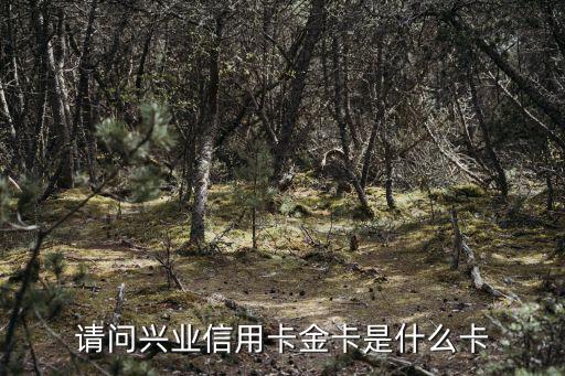 興業(yè)標(biāo)準(zhǔn)金卡怎么樣，請(qǐng)問(wèn)興業(yè)信用卡金卡是什么卡