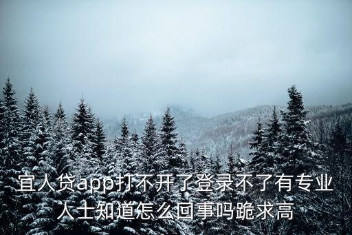 宜人貸app鎖定怎么回事，宜人貸app打不開了登錄不了有專業(yè)人士知道怎么回事嗎跪求高
