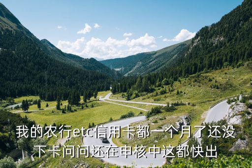 我的農(nóng)行etc信用卡都一個(gè)月了還沒下卡問問還在申核中這都快出
