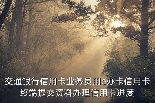 交通銀行信用卡業(yè)務員用e辦卡信用卡終端提交資料辦理信用卡進度