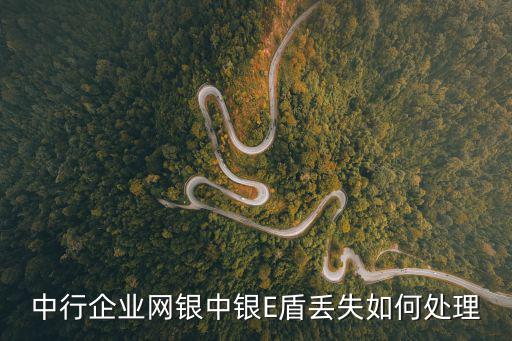 企業(yè)網(wǎng)銀丟失怎么辦理，中行企業(yè)網(wǎng)銀中銀E盾丟失如何處理