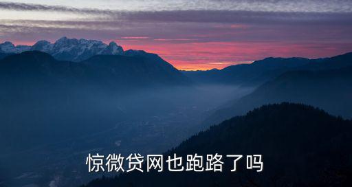 驚微貸網(wǎng)也跑路了嗎