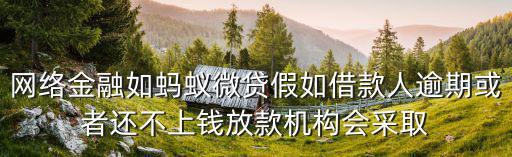 網(wǎng)絡金融如螞蟻微貸假如借款人逾期或者還不上錢放款機構會采取