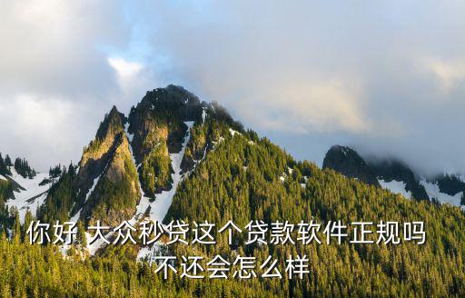 蘇州大眾貸怎么樣，現(xiàn)在還有人買大眾passat嗎還有人清楚大眾passat貸款怎么樣嘛