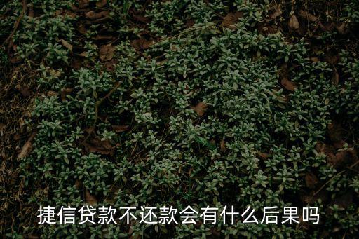 捷信貸款不還款會(huì)有什么后果嗎