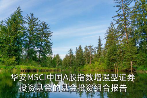 華安MSCI中國A股指數(shù)增強型證券投資基金的基金投資組合報告