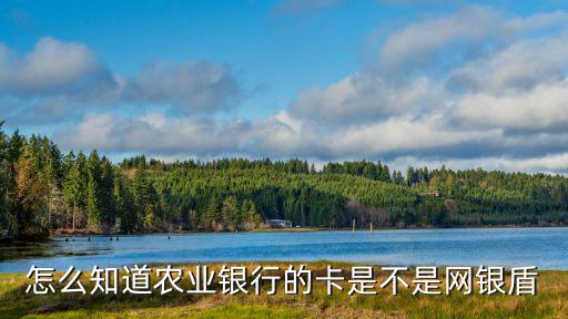 怎么查網(wǎng)銀盾，怎么知道農(nóng)業(yè)銀行的卡是不是網(wǎng)銀盾