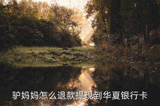 驢媽媽怎么退款提現(xiàn)到華夏銀行卡