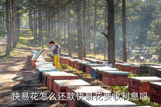 快易花怎么還款快易花要收利息嗎
