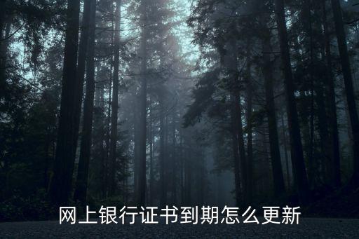 漢口銀行證書怎么更新，漢口銀行網(wǎng)上銀行證書如何更新