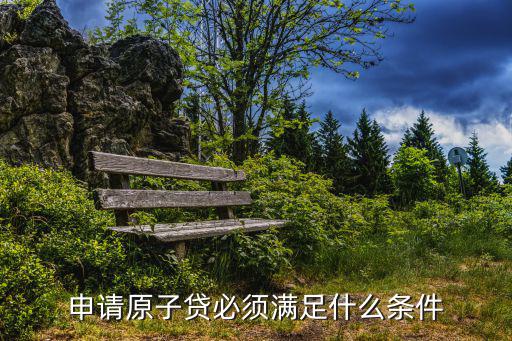 原子貸借款條件怎么樣，原子貸征信花能通過(guò)嗎