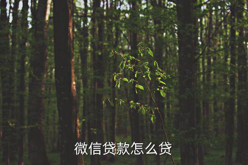 微信里面貸款怎么使用嗎，微信可以貸款嗎怎么貸