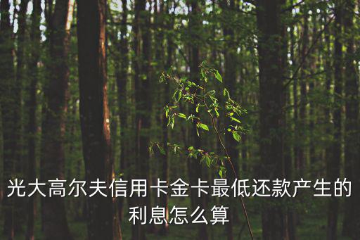 光大高爾夫信用卡金卡最低還款產(chǎn)生的利息怎么算