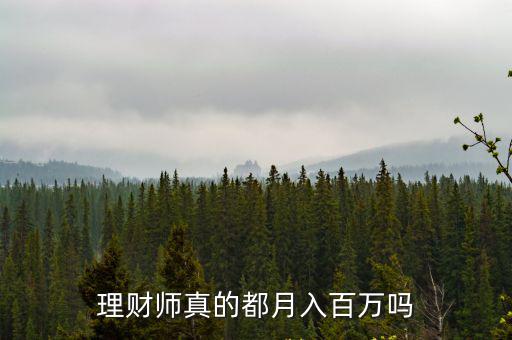 理財(cái)師真的都月入百萬嗎