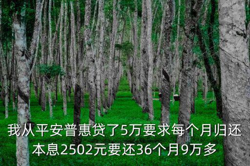 我從平安普惠貸了5萬(wàn)要求每個(gè)月歸還本息2502元要還36個(gè)月9萬(wàn)多